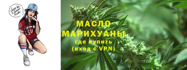 индика Беломорск