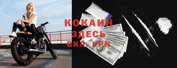 ПСИЛОЦИБИНОВЫЕ ГРИБЫ Белокуриха