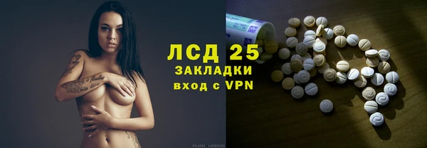 индика Беломорск