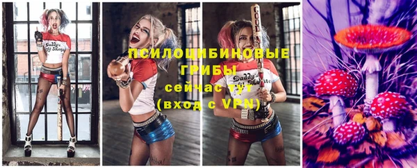 ПСИЛОЦИБИНОВЫЕ ГРИБЫ Белокуриха