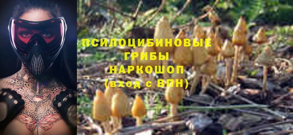 индика Беломорск