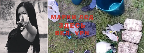 ПСИЛОЦИБИНОВЫЕ ГРИБЫ Белокуриха