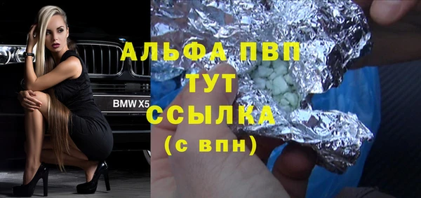 ПСИЛОЦИБИНОВЫЕ ГРИБЫ Белокуриха