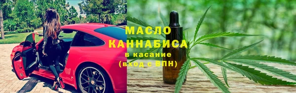 spice Богородицк