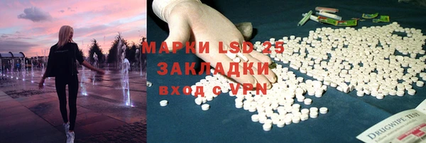 индика Беломорск