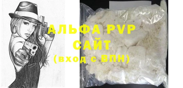 индика Беломорск